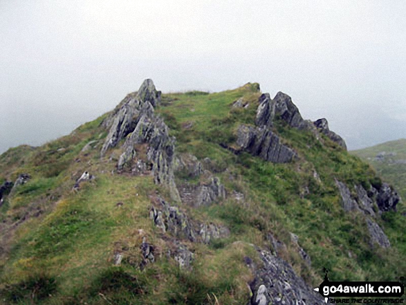 Allt-fawr (Moelwyns) Photo by Edward Jones