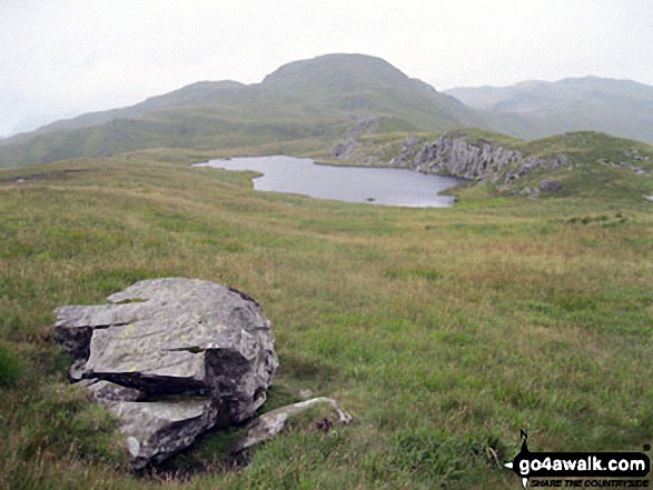 Walk cw115 Allt-fawr, Moel Druman and Ysgafell Wen from Crimea Pass (Bwlch y Gorddinan) - Moel Druman and Llyn Conglog from Allt-fawr (Moelwyns)