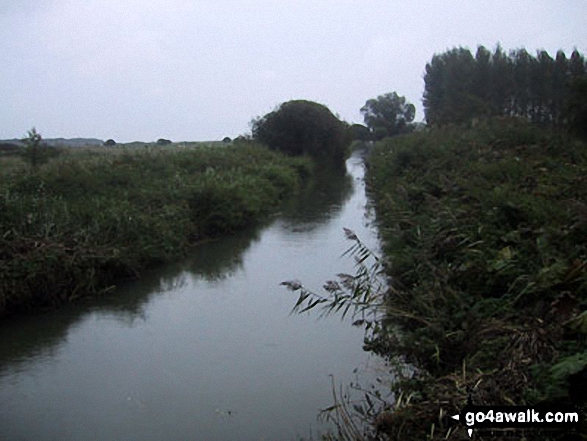 Walk sf194 Minsmere Nature Reserve from Eastbridge - Minsmere New Cut Canal, Eastbridge