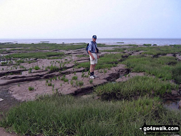 On the Kilnsea clays, Spurn Head 