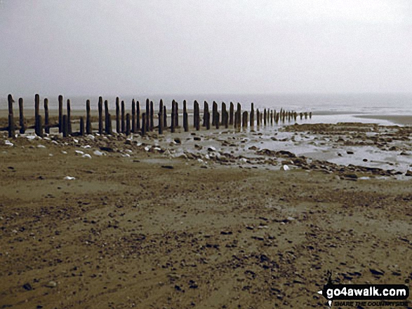 Walk ey119 Spurn Head from Kilnsea - The Kilnsea clays, Spurn Head