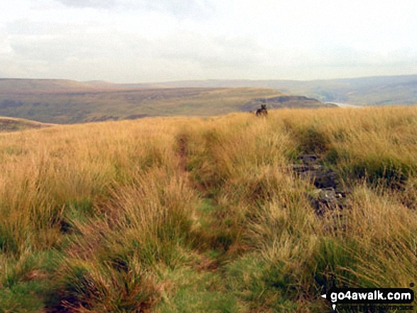 Walk d174 Millstone Rocks and Lad's Leap from Crowden - Looking back across to Bleaklow Hill from Millstone Rocks (Lad's Leap)