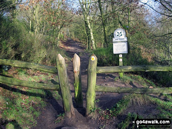 Walk ch108 The Cloud (Bosley Cloud) and The Macclesfield Canal from Timbersbrook - Climbing The Cloud (Bosley Cloud)