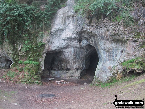 King Arthur's Cave, Lord's Wood 