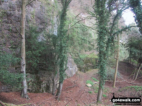 Walk gl119 The River Wye from Symonds Yat - Seven Sisters Rocks, Lord's Wood