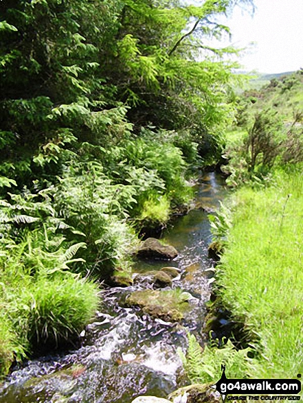 Walk co168 Brown Willy and Bodmin Moor from St Breward - Woodland Stream