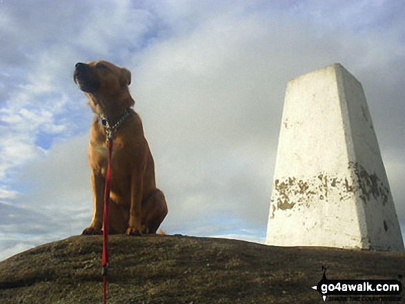 On Kinder Low (Kinder Scout)