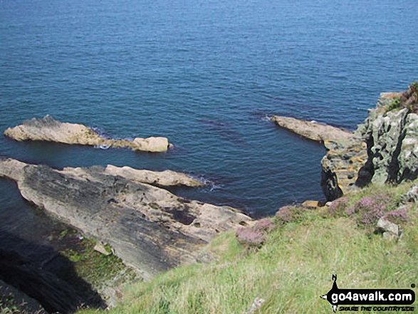 Walk pe119 Pen Dal-aderyn from Porthstinian - The Pembrokeshire Coast Path