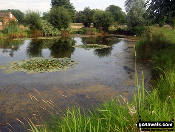 Walk su147 Crowhurst from Blindley Heath - Blindley Heath Pond