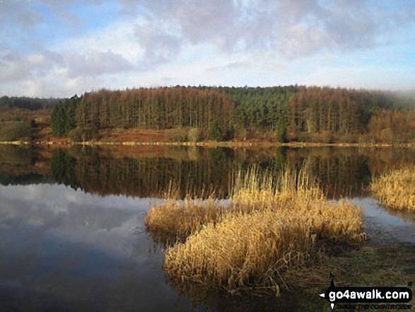 Llwyn-on Reservoir on a crisp February winter morning 