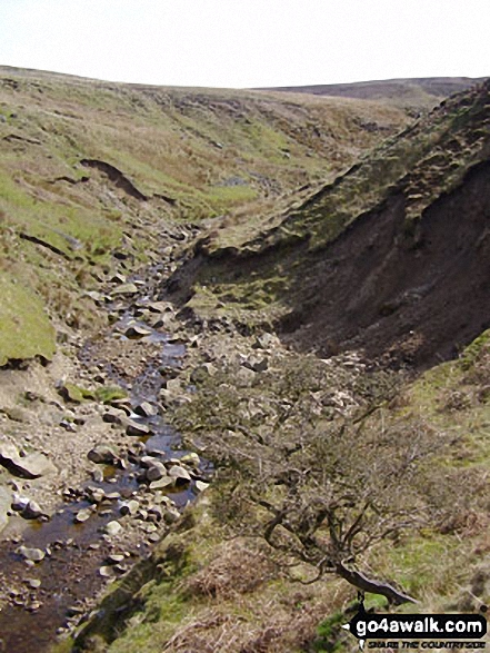 Walk l119 Bedding Hill Moor and Wycoller from Trawden - Saucer Hill Clough