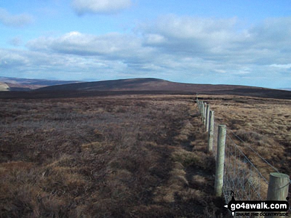 Walk l129 Saddle Fell, Paddy's Pole (Fair Snape Fell) and Fiendsdale Head from nr Chipping - Fiendsdale Head from Paddy's Pole (Fair Snape Fell)