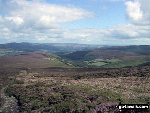 Walk dn103 Moel Fferna and Pen Bwlch Llandrillo Top from Cynwyd - Nant y Pandy from the summit of Moel Fferna