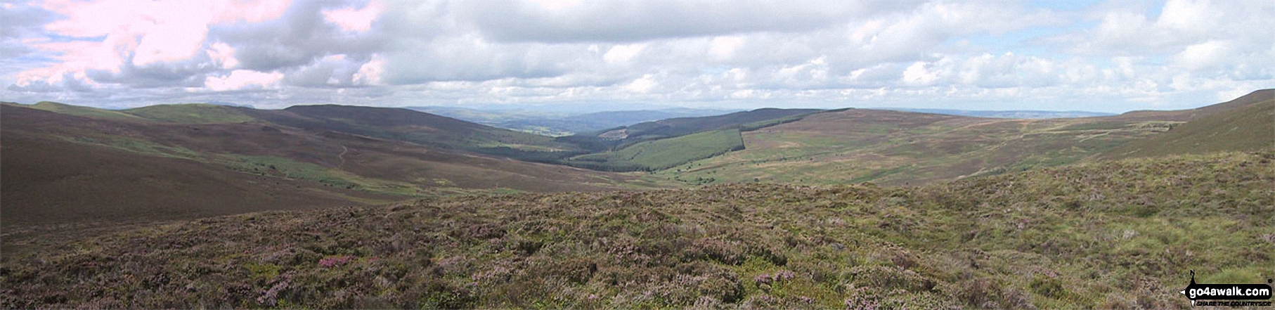 Walk dn116 Moel Fferna,  Pen Bwlch Llandrillo Top and Cadair Bronwen from Cynwyd - Pen Bwlch Llandrillo Top, Nant Croes-y-wernen, Pen Creigau'r, and Moel Fferna from the summit of Cerrig Coediog