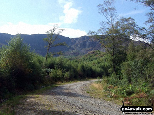 The Y Garn (Rhinogs) ridge from Ffridd Bryn-melyn 