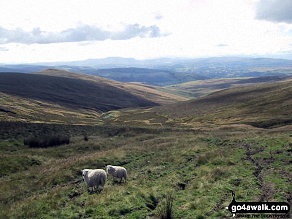 Looking down Clochnant to The River Dee Valley from Bwlch Maen Gwynedd 