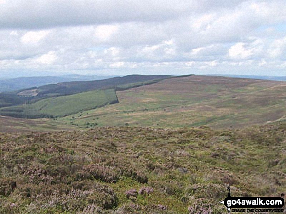 Walk dn116 Moel Fferna,  Pen Bwlch Llandrillo Top and Cadair Bronwen from Cynwyd - Pen Creigau'r from the summit of Cerrig Coediog