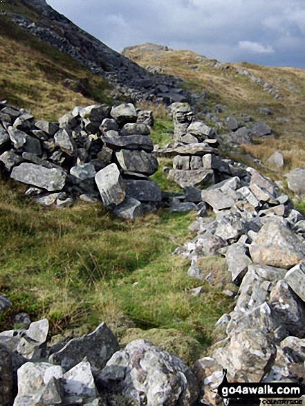 Climbing Y Garn (Rhinogs) above Bryn Bedwog