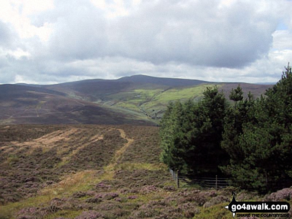 Walk dn103 Moel Fferna and Pen Bwlch Llandrillo Top from Cynwyd - Cadair Bronwen from Pen Creigiau'r