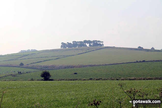 Walk d152 Monyash, Youlgreave, Bradford Dale, Middleton-by-Youlgreave and Kenslow Knoll from Sparklow, Hurdlow - Kenslow Knoll from Green Lane (Friden)