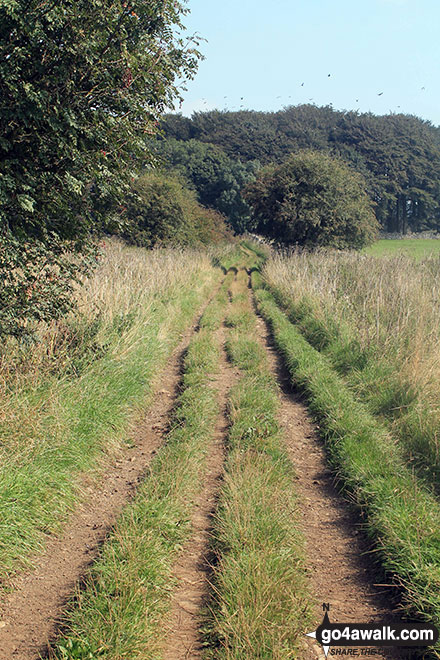 Walk d152 Monyash, Youlgreave, Bradford Dale, Middleton-by-Youlgreave and Kenslow Knoll from Sparklow, Hurdlow - Green Lane (Friden)