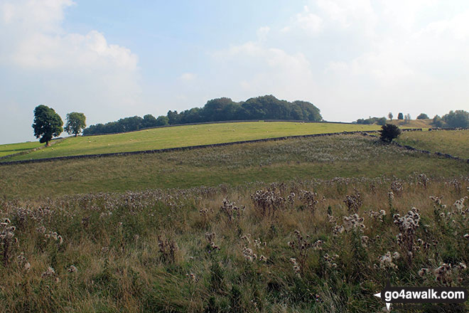 Walk d146 The High Peak Trail and Kenslow Knoll from Middleton-by-Youlgreave - Kenslow Knoll from Ringham Low (Friden)