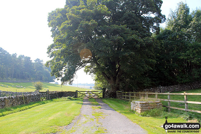 Walk d152 Monyash, Youlgreave, Bradford Dale, Middleton-by-Youlgreave and Kenslow Knoll from Sparklow, Hurdlow - The track near Kenslow Farm