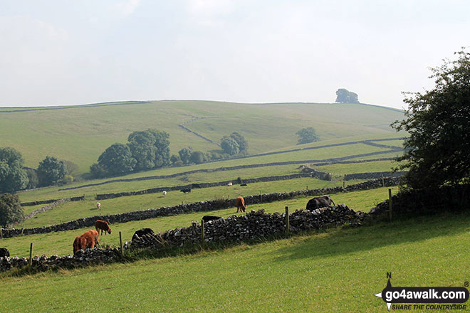 Walk d295 Bradford Dale, Long Dale, Gratton Dale and  Elton from Youlgreave - Gratton Moor (Gratton Moor) from Gratton Moor