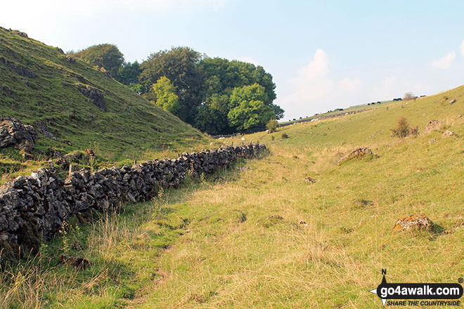 Walk d295 Bradford Dale, Long Dale, Gratton Dale and  Elton from Youlgreave - Approaching Bolderstone Plantation from Long Dale