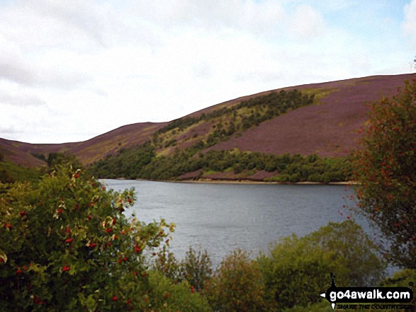 The Lammermuir Hills 