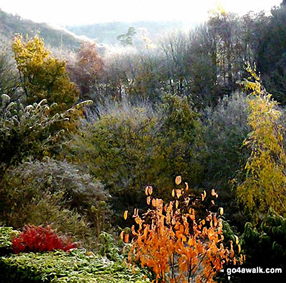 A cold and frosty morning in the Whiteadder River valley, Berwickshire 