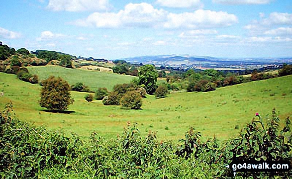 Lynes Barn Farm from Campden Lane (Track) 