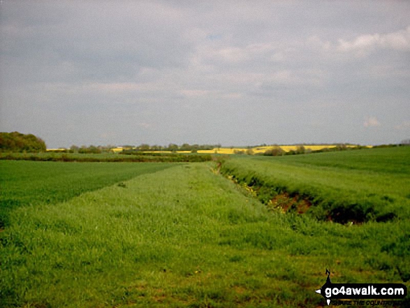 Walk bd126 Gorewell from Turvey - Gorewell