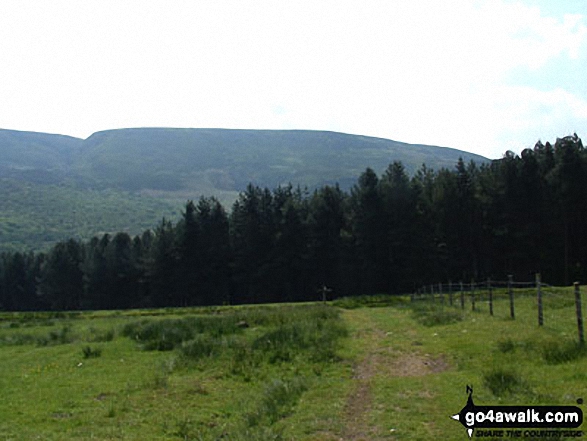 Walk d104 Bramah Edge from Crowden - Wildboar Clough with Bleaklow Hill beyond from the Pennine Way near Crowden