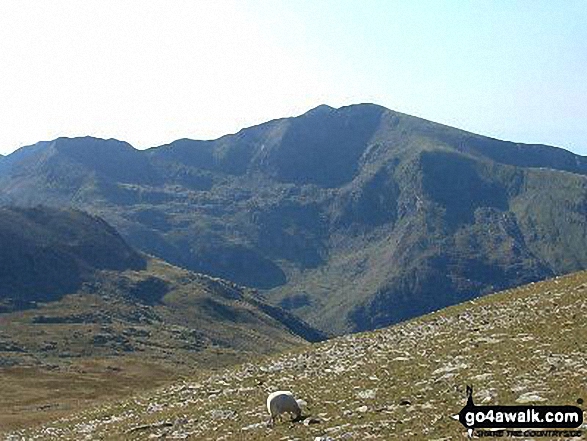 Walk gw147 Y Garn (Glyderau) from Ogwen Cottage, Llyn Ogwen - Snowdon (Yr Wyddfa) from Y Garn (Glyderau)