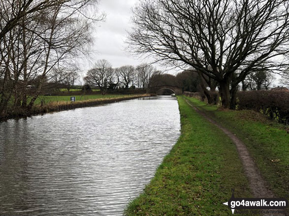 The Bridgewater Canal near Moore 