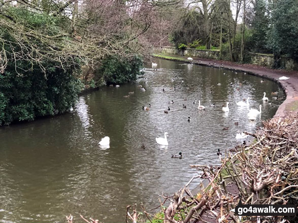 The Bridgewater Canal near Walton Hall 