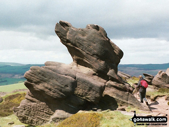 Walk s122 Lud's Church and The Roaches from Roach End - Rock Formations on The Roaches