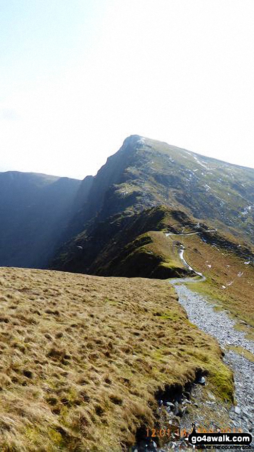 Walk gw152 Cadair Idris (Penygadair), Mynydd Moel, Cyfrwy and Gau Craig via The Pony Path - Path to Craig Cwm Amarch from Cadair Idris (Penygadair)