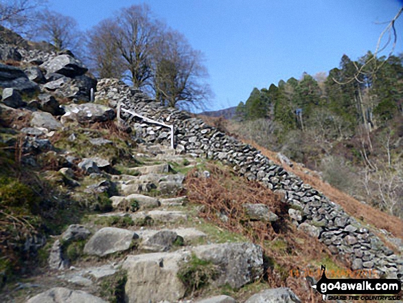 Walk gw103 Cadair Idris (Penygadair), Cyfrwy and Gau Graig via The Minffordd Path - Stone steps on the Minffordd Path