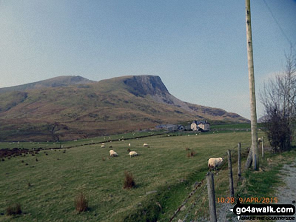 Walk gw140 Snowdon via The Rhyd-Ddu Path - Mynydd Drws-y-coed (left) and Y Garn (Moel Hebog) from the Nantlle Road (B4418) near Rhyd Ddu