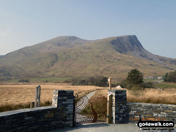 Walk gw188 The first part of the Nantlle Ridge from Rhyd-Ddu - Mynydd Drws-y-coed (left) and Y Garn (Moel Hebog) from Rhyd Ddu