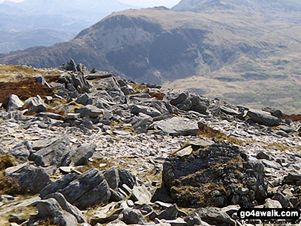 Walk gw164 The full Nantlle Ridge and Craig Cwm Silyn from Rhyd-Ddu - The summit of Craig Cwm Silyn with Moel Lefn in the background