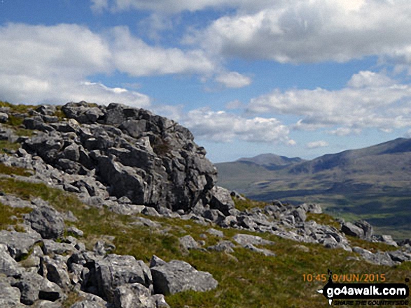 On Moel Yr Ogof 