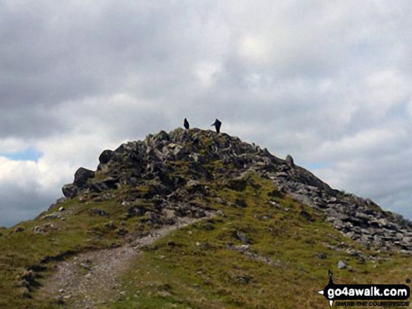 Walk gw173 Cnicht, Moel-yr-hydd, Moelwyn Mawr and Moelwyn Bach from Croesor - Cnicht Summit