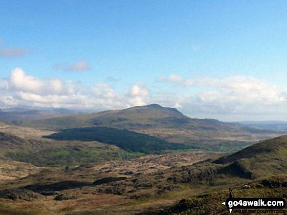 Carnedd Moel Siabod from near Moel Dyrnogydd