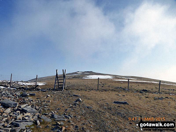 Ladder stile en route from Mynydd Moel to Cadair Idris (Penygadair) 