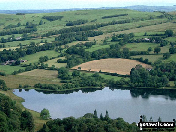 Loweswater from path above Holme Wood 