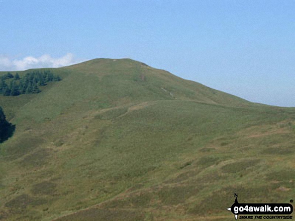 Walk c360 The Lorton and Wythop Fells from Whinlatter Forest Park - Lord's Seat from Barf