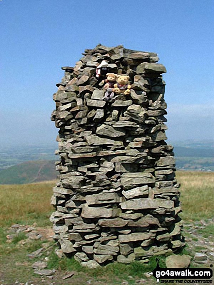 Walk c183 Lord's Seat and Graystones from Whinlatter Forest Park - Summit cairn on Broom Fell